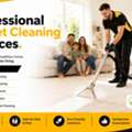 Carpet Cleaning Pearsall For Cleaner, Fresher Carpets