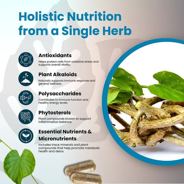Austin, Health & Beauty Items, USD 83,  Buy Organic Triphala Powder &ndash; Traditional Three-Fruit Blend | Wholistic Zone