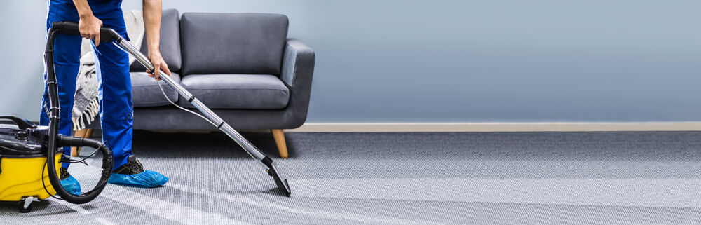 New York, Cleaning, Expert Carpet Cleaning In Flanders, NJ | Zoliks Cleaning