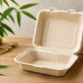 Trusted Clamshell Container Manufacturer For Bulk Orders