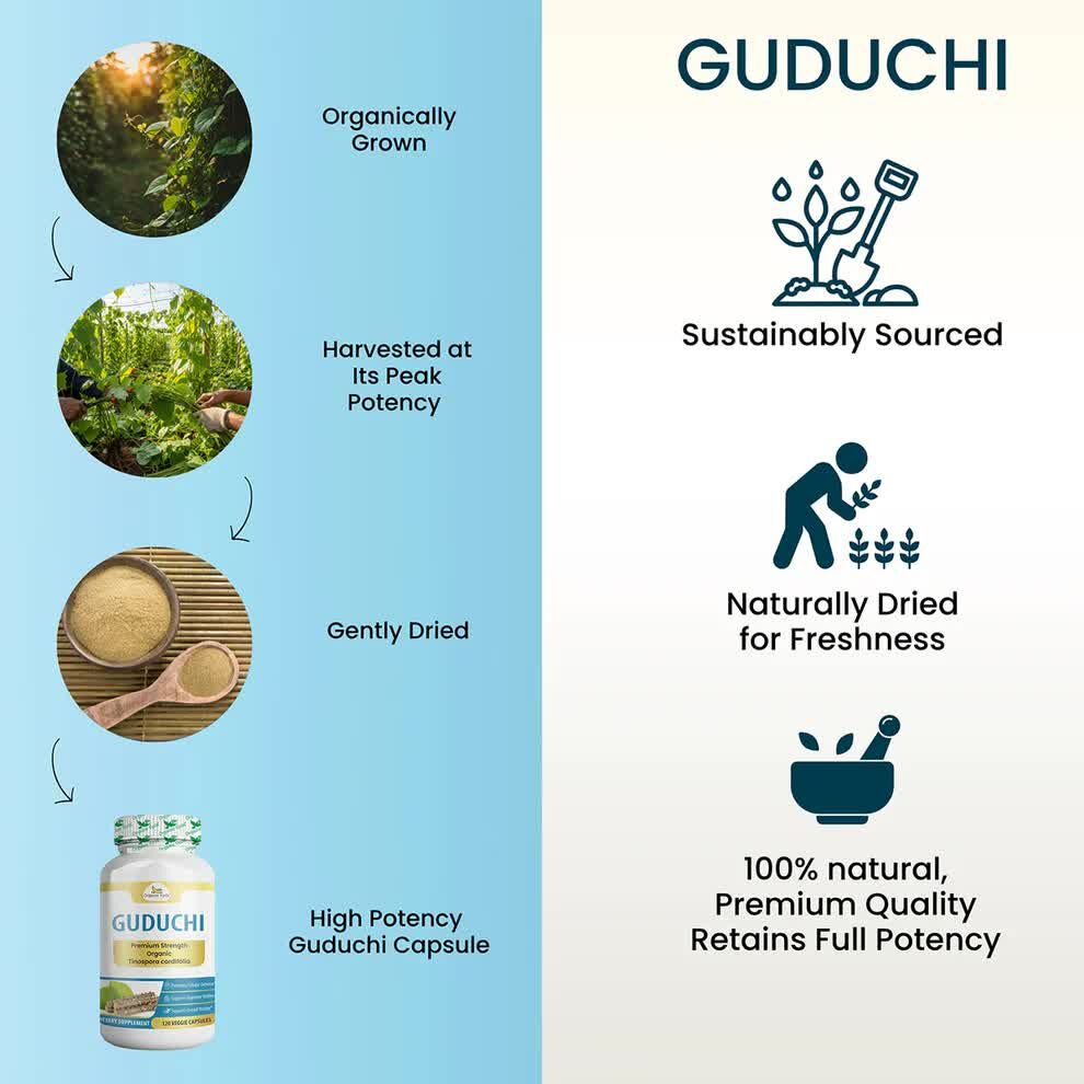 Austin, Health & Beauty Items, USD 83,  Organic Guduchi Capsules &ndash; Everyday Ayurvedic Wellness Made Easy | Wholistic Zone