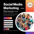 Social Media Optimization Services Company In Delhi | Brand Roof Solutions