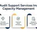 Audit Support Services For CPAs And Accounting Firms Growth