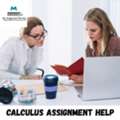 Calculus Assignment Help &ndash; Expert Solutions For Better Academic Results