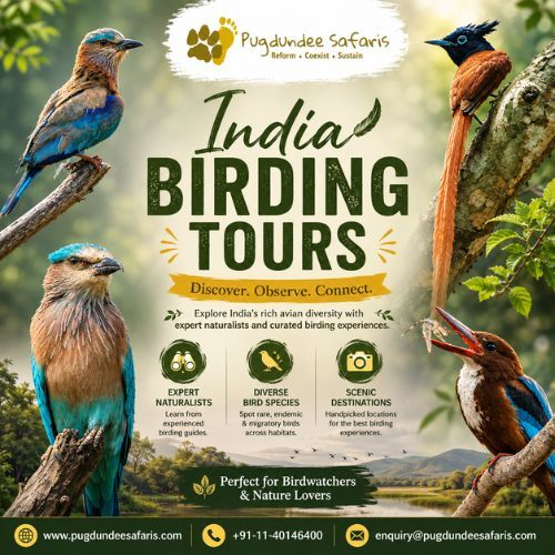 Gurgaon, Travel, Experience India Birding Tours Like Never Before