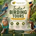 Experience India Birding Tours Like Never Before