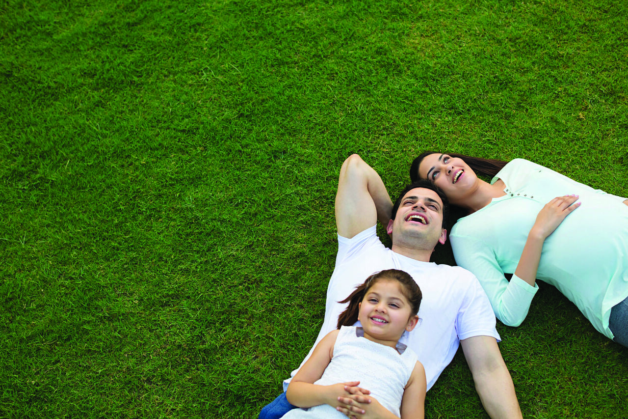 Gurgaon, Residential Plots, INR 18000000,  1350 Sq. Feet,  Looking For Signature Global Plots Sidhrawali?