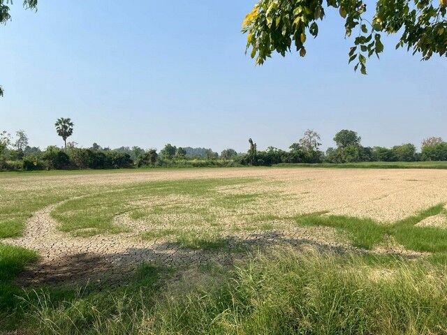 Bangkok, Real Estate For Sale, THB 100000,  6 BR,  5886 Sq. Feet,  Large Plot Of Land For Sale In Lat Yao District. Nakhon Sawan Province 14 Rai 2 Ngan 86