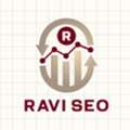 Best SEO Company In Mohali