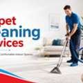Carpet Cleaning Everton Park For Fresher, Well-maintained Floors