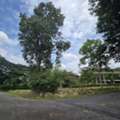 THB 4348500,  6 BR,  290 Sq. Feet,  Land For Sale In Khao Yai, Corner Plot, 289.9 Sq M, Phupattra 3, Natural View, Next To