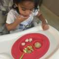 Comprehensive Nutrition Course For Toddlers By Child Nutrition Expert