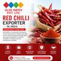 Trusted Red Chilli Exporter In India | GLEE IMPEX