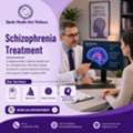 Schizoaffective Disorder Treatment In Maryland
