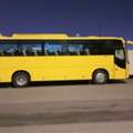 Bus Needed