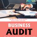 Business Audit Consultant