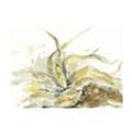 Vermont Landscape Paintings