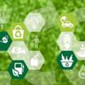 Sustainable Supply Chain Solutions For ESG-Driven Growth