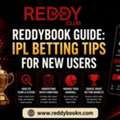 ReddyBook Guide: IPL Betting Tips For New Users