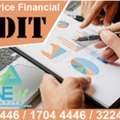 Lowest Price Financial Audit