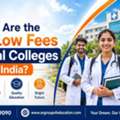 Which Are The Best Low Fees Medical Colleges In India?