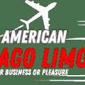 Book Corporate Transportation Service In Chicago