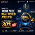 Want To Tokenize Real World Assets? Build It Now At 30% OFF!