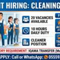 Cleansing Job