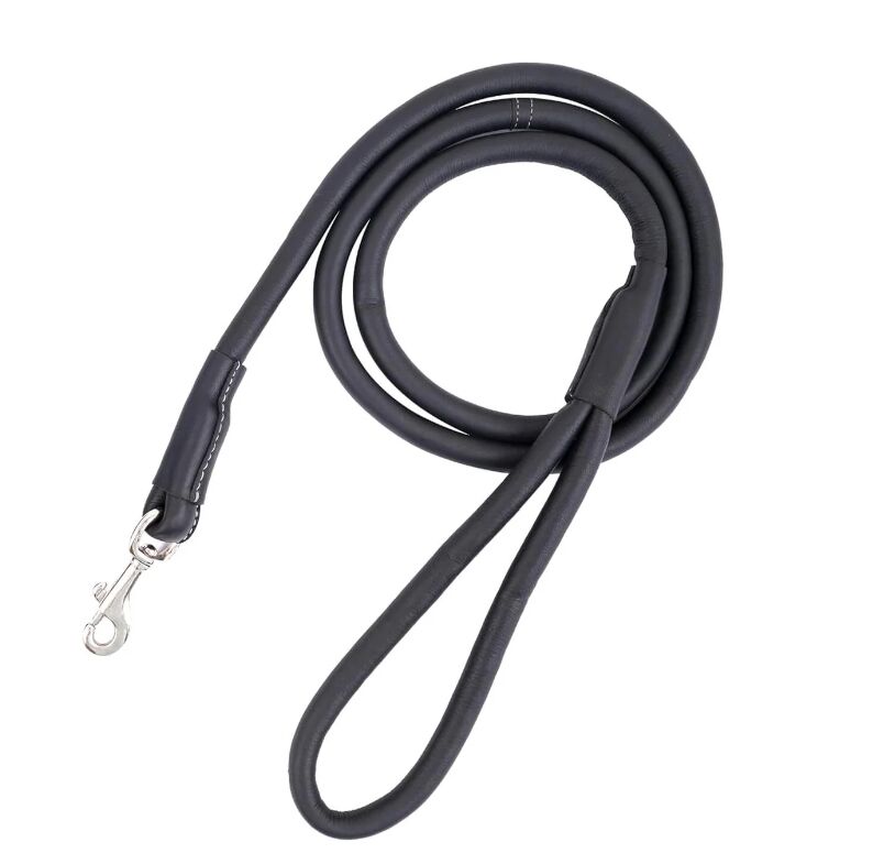 Mumbai, Pet Supplies, INR 1,  Adjustable Leather Dog Leash For Comfortable Control