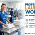 Professional Laundry Worker
