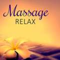 Professional Massage Therapist
