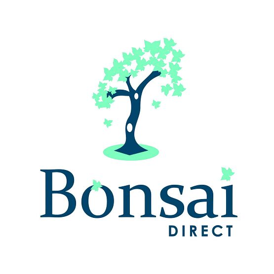 London, Business, Bonsai Direct