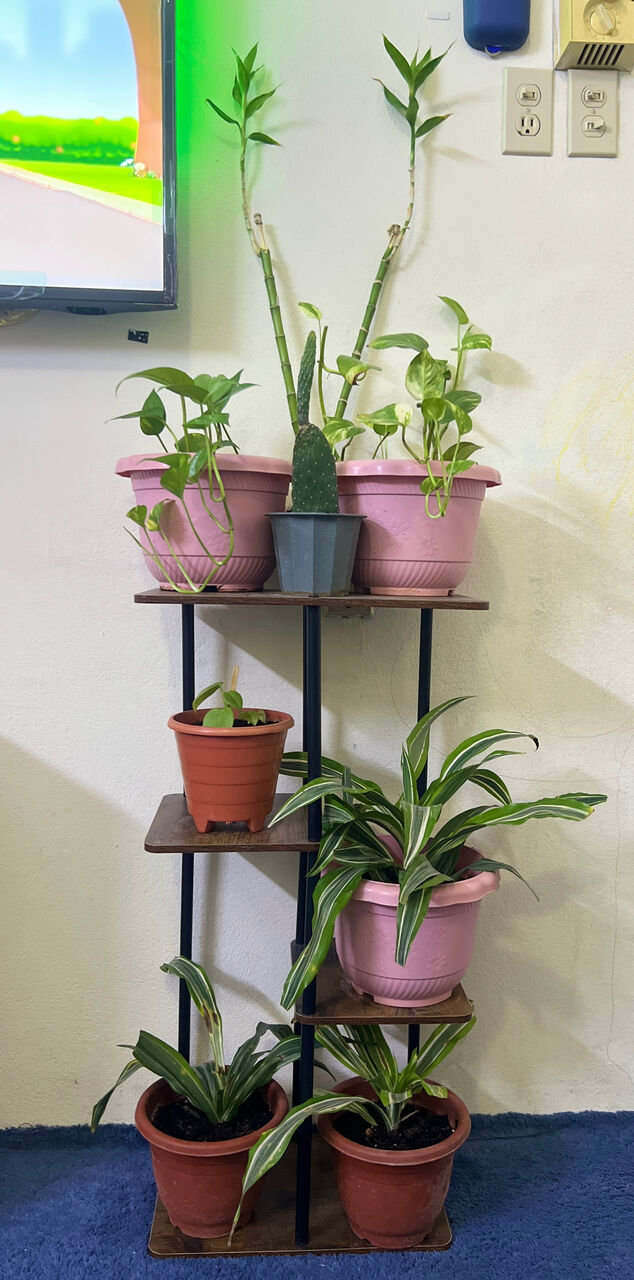 Khobar, Household Items, SAR 109,  Plants With Stand