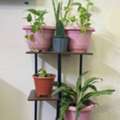 SAR 109,  Plants With Stand