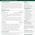 Sales Executive