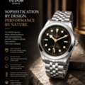 INR 459900,  Tudor Black Bay One 41 Dial Colours Explained