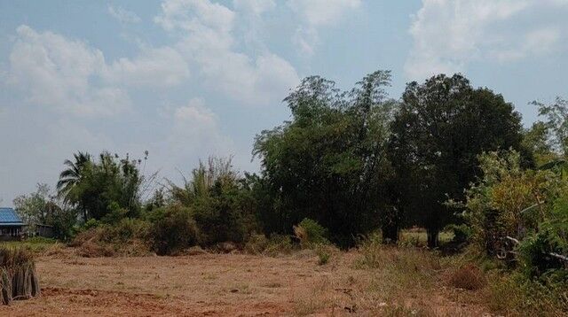 Bangkok, Real Estate For Sale, THB 190000,  6 BR,  7800 Sq. Feet,  For Sale At Sikhio Korat Title Deed. High Land Area Next To A Cement Road.  Good Location