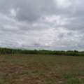 THB 150000,  6 BR,  12000 Sq. Feet,  Area High Above Sea Level Korat, Highland Area Phra Thongkham Land, Thap Rang, Entered