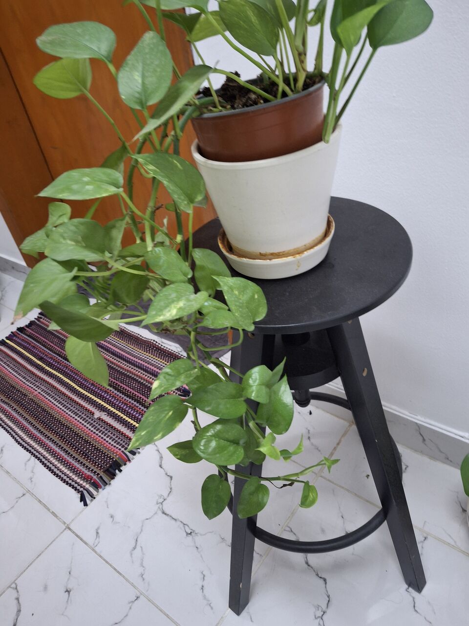 Janabiya, Buildings, 12 Sq. Feet,  Room For Rent