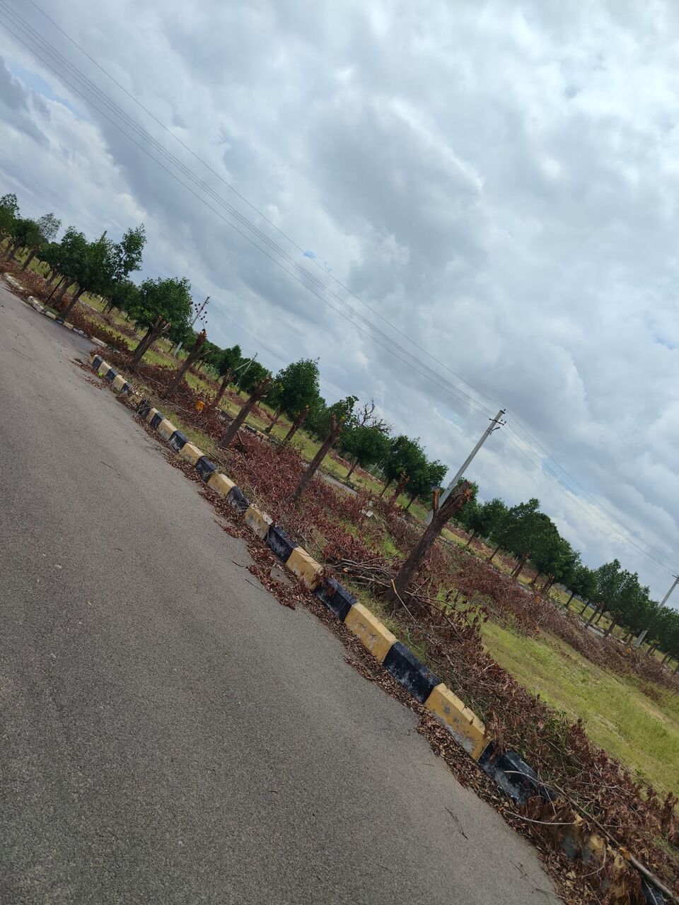 Hyderabad, Residential Plots, INR 13000,  167 Sq. Yard,  DTCP & RERA FINAL  APPROVED Open Plots For Sale @ Nandiwanaparthy