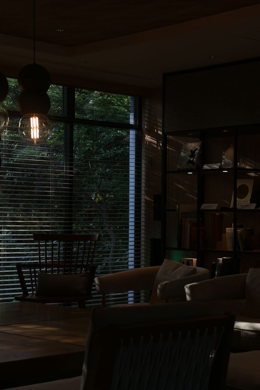 New York, Business, Luxury Blinds For Windows In Long Island, New York