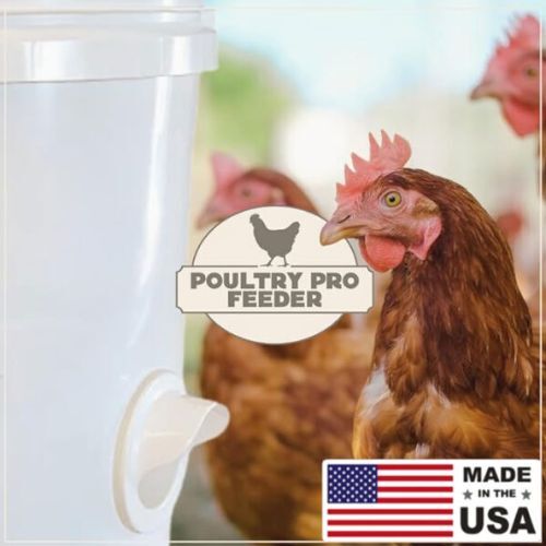 New York, Business, DIY Poultry Feeder