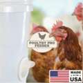 DIY Poultry Feeder