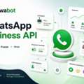 Transform Customer Conversations With WhatsApp Business API By Twabot