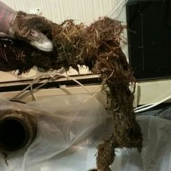 Boston, Business, Sewer Inspection Services Near Me | Fast & Reliable Sewer Experts