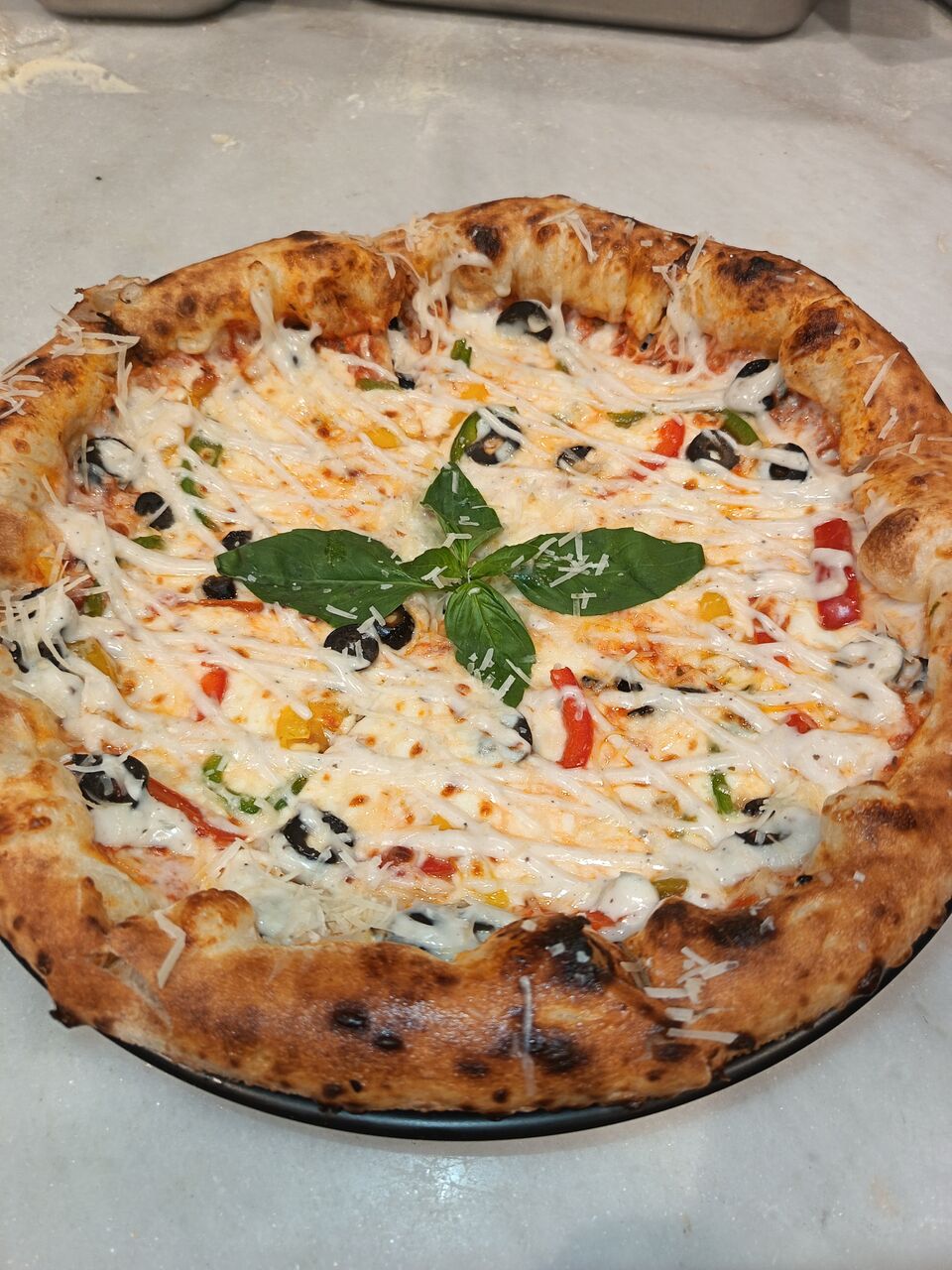 Riyadh, Job Seekers, Chef Of Neapolitan Pizza, Pie And Pasta