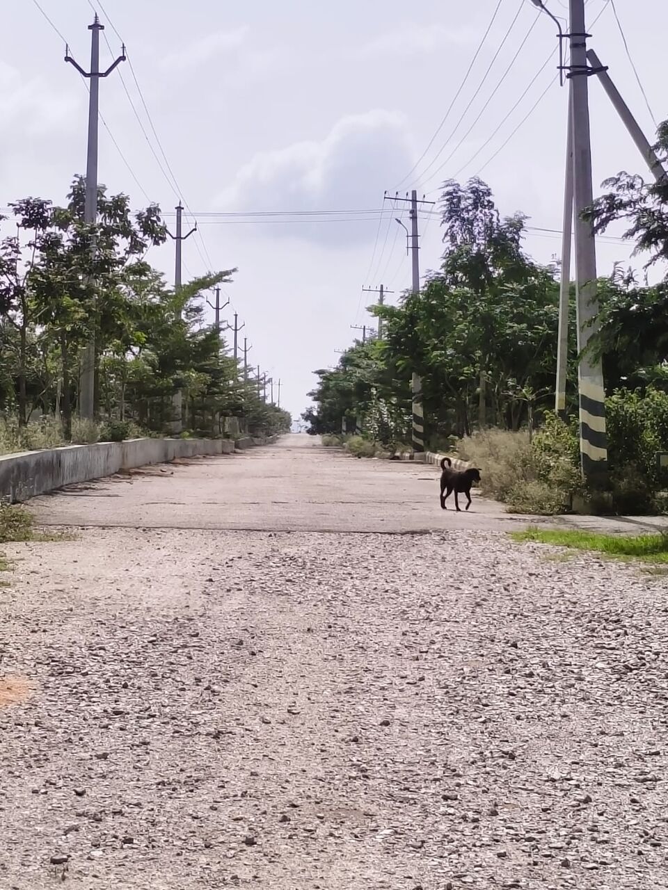 Hyderabad, Residential Plots, INR 12500,  277 Sq. Yard,  DTCP & RERA FINAL APPROVED Open Plots For Sale @ Yacharam