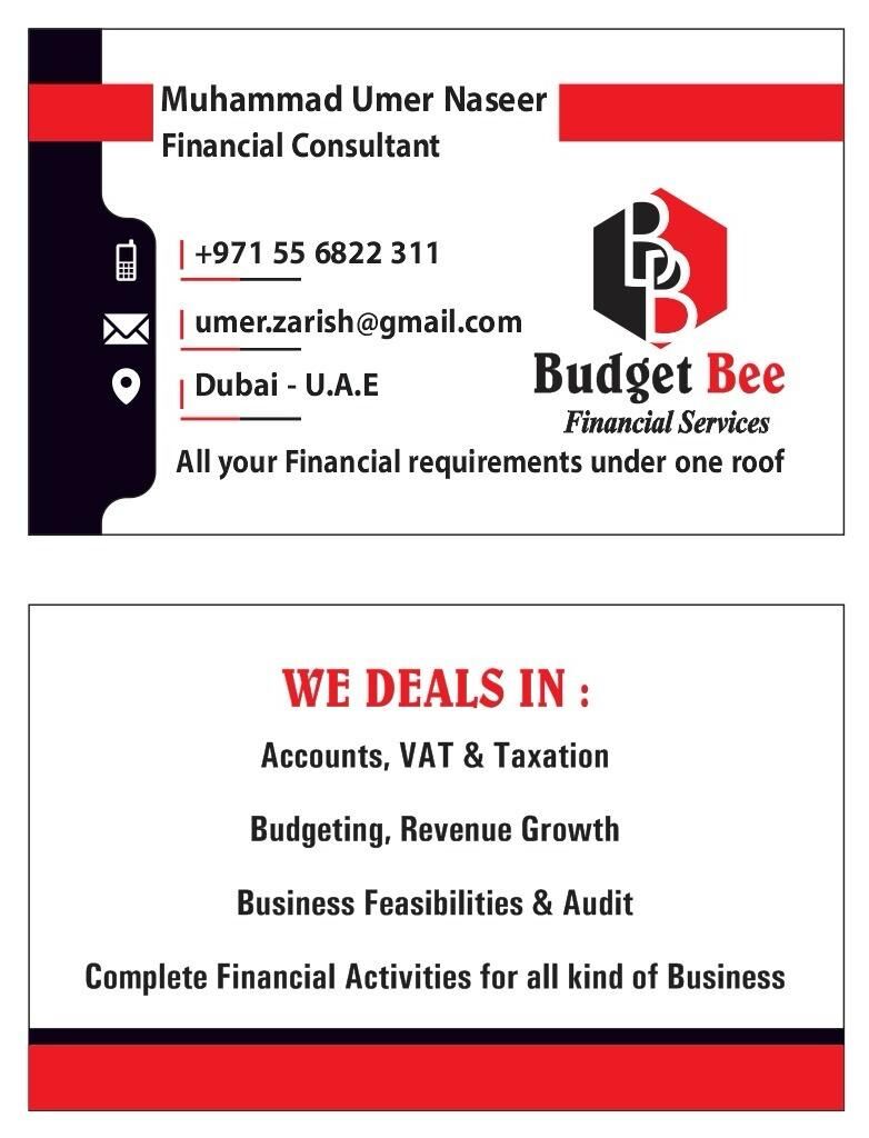 Dubai, Jobs, Accounting / VAT /Corporate Tax Consultant