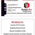 Accounting / VAT /Corporate Tax Consultant