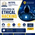 Diploma In Ethical Hacking (6 Months) | Cyber Security Course | NITPS